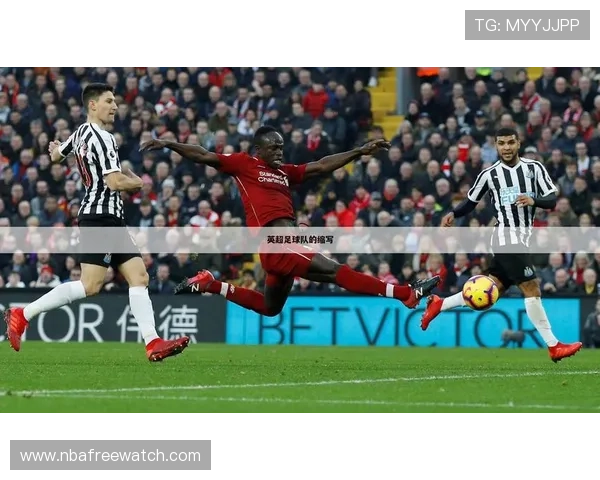 足球v体育官网安全可靠，保障用户个人信息与观看体验的双重安全措施